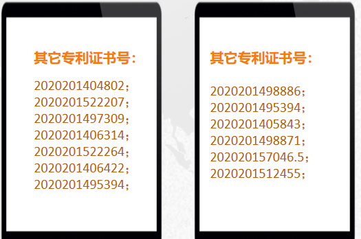 20210810-其它专业证书号.png